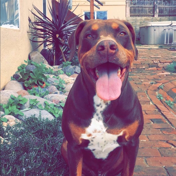 * Meet your Poshers, Jeremy and Claude 🤘🤙🙏 * - Picture 3 of 3